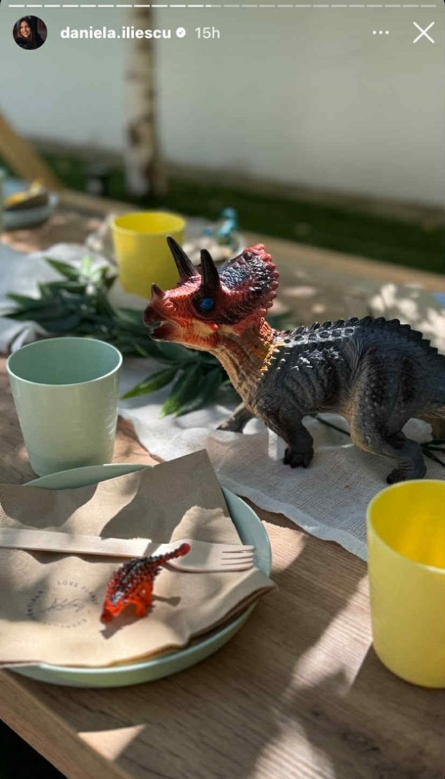 Milan, fiul Danielei și al lui Culiță Sterp a împlinit 4 ani. Ce petrecere regească i-au organizat părinții. Decorul a inclus și dinozauri, preferații lui