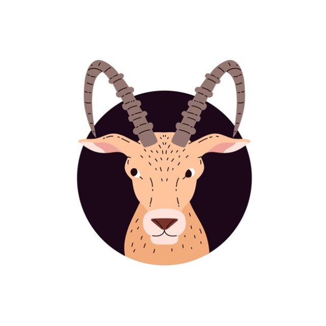 Capricorn ♑️