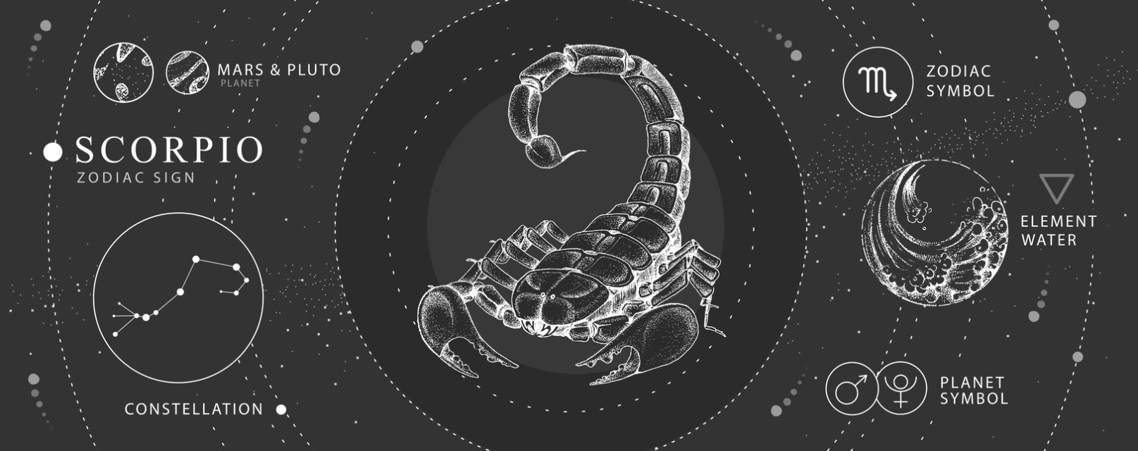 Horoscopul dragostei de mâine, 14 iulie 2025, astrolog Vlad Daia, Scorpion