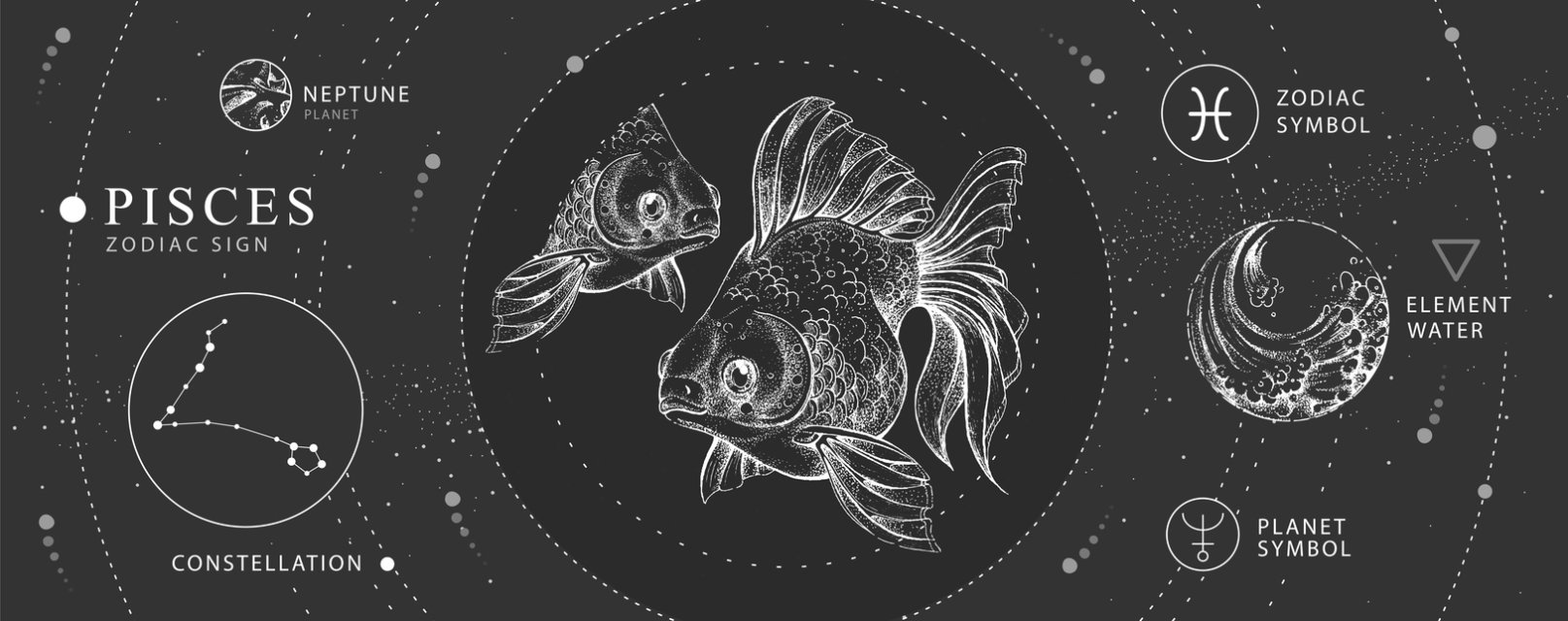 Horoscopul dragostei de mâine, 14 iulie 2025, astrolog Vlad Daia, Pești