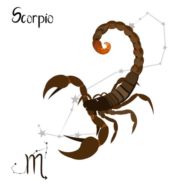 Scorpion