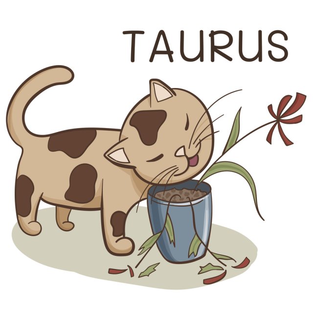 Horoscopul dragostei de mâine, 20 august 2025, astrolog Vlad Daia, Taur