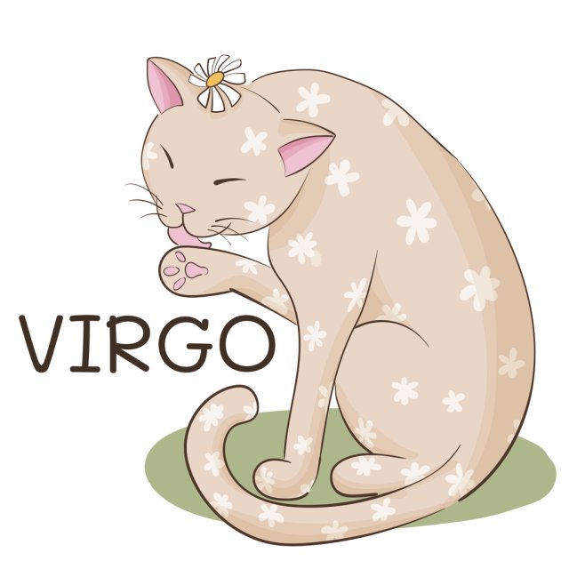Horoscopul dragostei de mâine, 20 august 2025, astrolog Vlad Daia, Fecioară