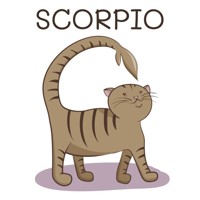 Horoscopul dragostei de mâine, 20 august 2025, astrolog Vlad Daia, Scorpion