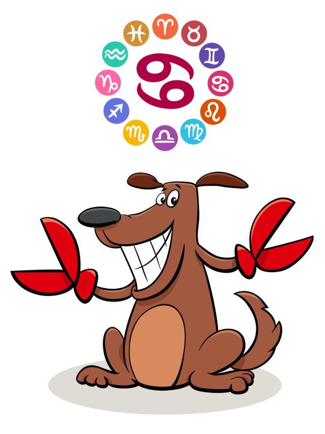 Horoscop mâine, 8 septembrie 2025, astrolog Vlad Daia, Rac
