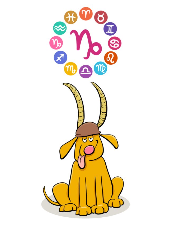 Horoscop mâine, 8 septembrie 2025, astrolog Vlad Daia, Capricorn