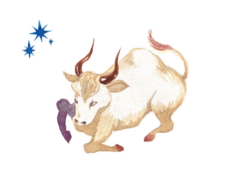 Horoscopul dragostei de mâine, 8 octombrie 2025, astrolog Vlad Daia, Taur