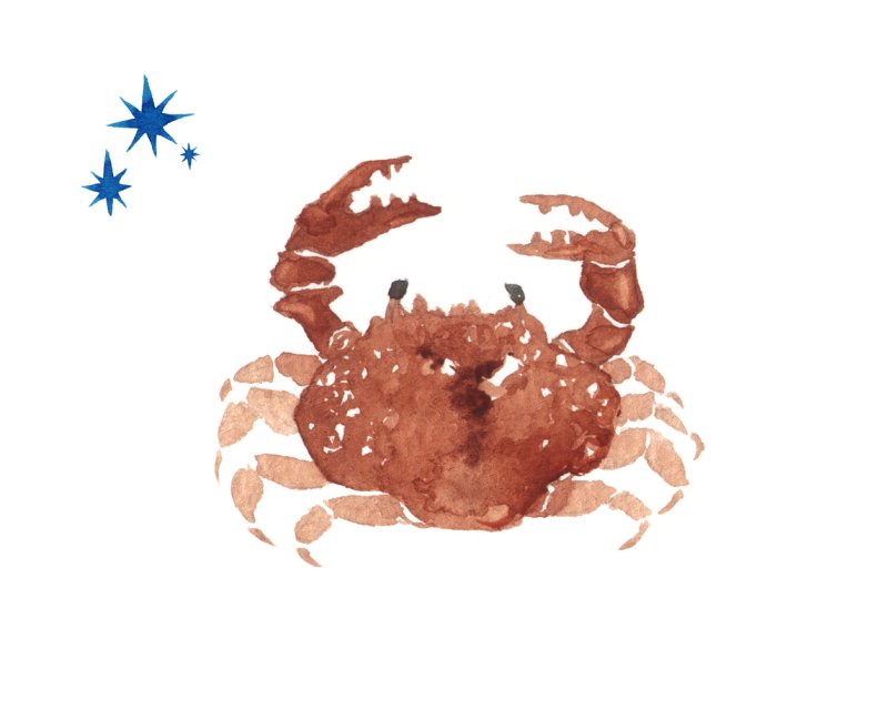 Horoscopul dragostei de mâine, 8 octombrie 2025, astrolog Vlad Daia, Rac