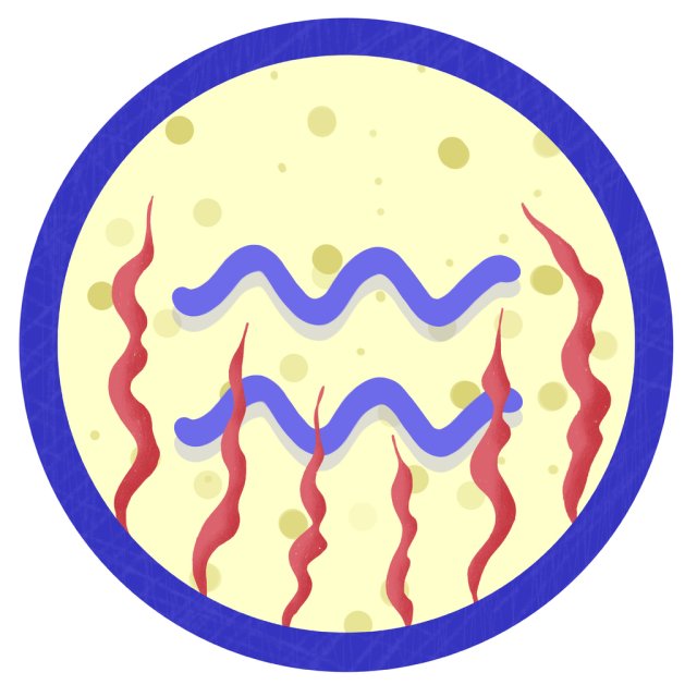 Horoscop mâine, 14 octombrie 2025, astrolog Vlad Daia, Vărsător