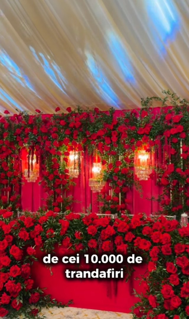 Claudia Puican și Armin Nicoară, „nunta mileniului”. Au organizat o petrecere grandioasă în Timișoara. Sala de petrecere a fost decorată cu 10 mii de trandafiri