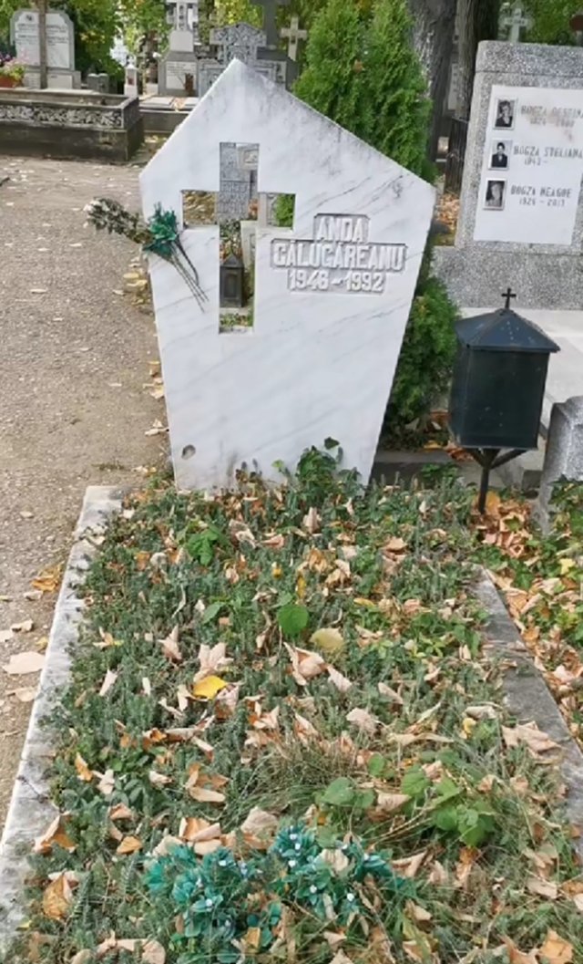 Anda Călugăreanu, o voce puternică, stinsă sub iarbă și frunze