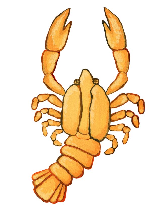 Horoscop mâine, 10 decembrie 2025, Rac