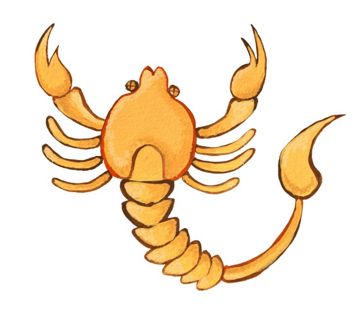 Horoscop mâine, 10 decembrie 2025, Scorpion