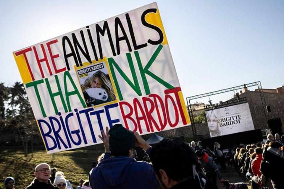 Imagini cutremurător de dureroase de la înmormântarea actriței Brigitte Bardot. A fost condusă pe ultimul drum în aplauzele a mii de oameni care i-au mulțumit în cor pe străzile din Saint-Tropez