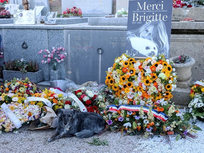 Imagini cutremurător de dureroase de la înmormântarea actriței Brigitte Bardot. A fost condusă pe ultimul drum în aplauzele a mii de oameni care au apreciat iubirea ei față de animale