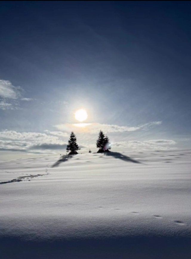 Romanița Iovan cinstește an de an memoria fostului soț, pilotul Adrian Iovan. Creatoarea de modă a urcat din nou în Munții Apuseni alături de fiul ei. Respectă acest obicei de 12 ani