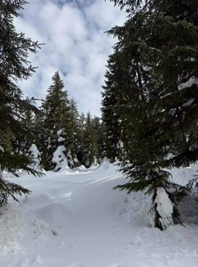 Romanița Iovan cinstește an de an memoria fostului soț, pilotul Adrian Iovan. Creatoarea de modă a urcat din nou în Munții Apuseni alături de fiul ei. Bărbatul a murit în ianuarie 2014