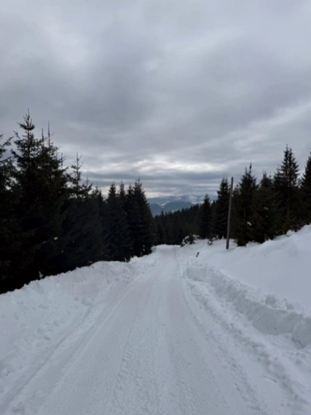 Romanița Iovan cinstește an de an memoria fostului soț, pilotul Adrian Iovan. Creatoarea de modă a urcat din nou în Munții Apuseni alături de fiul ei. Tatăl băiatului era într-o cursă umanitară