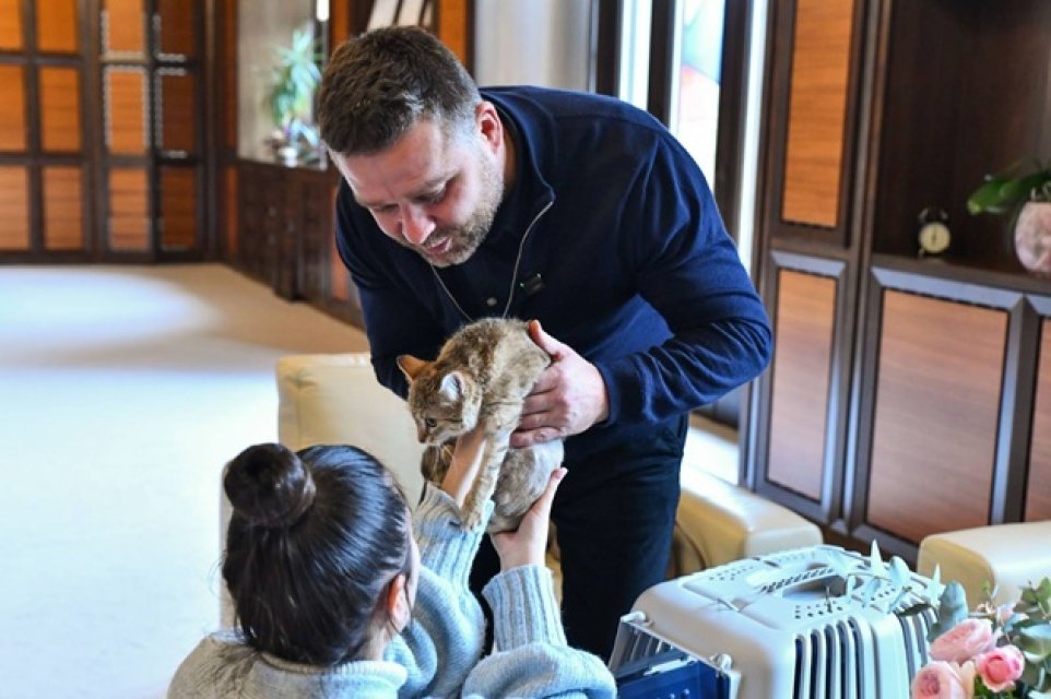 Ciprian Ciucu, primarul general al Capitalei, își împarte biroul cu o pisică. Dana Budeanu a reacționat dur la aflarea acestui detaliu. Pisica a trecut printr-o operație