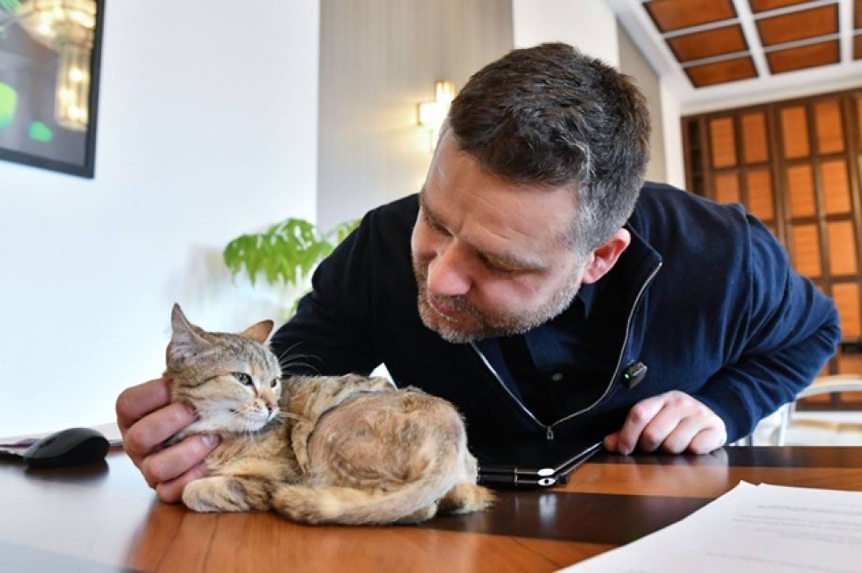 Ciprian Ciucu, primarul general al Capitalei, își împarte biroul cu o pisică. Dana Budeanu a reacționat dur la aflarea acestui detaliu. Reprezentanții primăriei au dezvăluit că acesta a mai salvat și alte animale