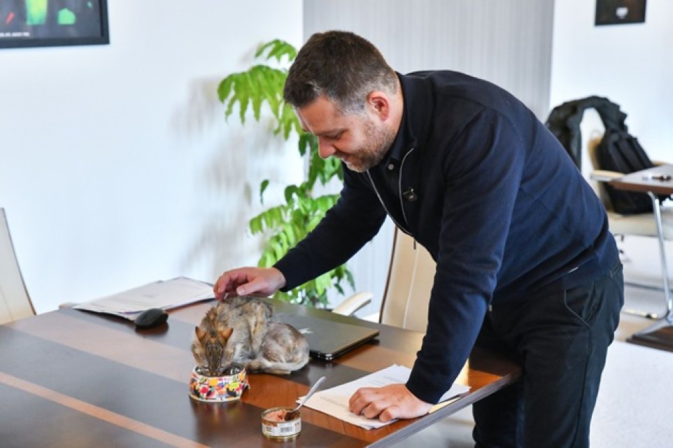 Ciprian Ciucu, primarul general al Capitalei, își împarte biroul cu o pisică. Dana Budeanu a reacționat dur la aflarea acestui detaliu. Primarul are 47 de ani