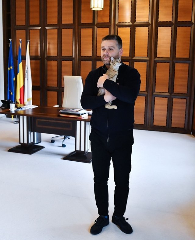 Ciprian Ciucu, primarul general al Capitalei, își împarte biroul cu o pisică. Dana Budeanu a reacționat dur la aflarea acestui detaliu. Creatoarea de modă a ironizat situația