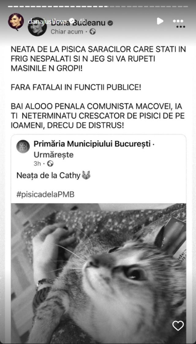 Ciprian Ciucu, primarul general al Capitalei, își împarte biroul cu o pisică. Dana Budeanu a reacționat dur la aflarea acestui detaliu. Ea are 46 de ani