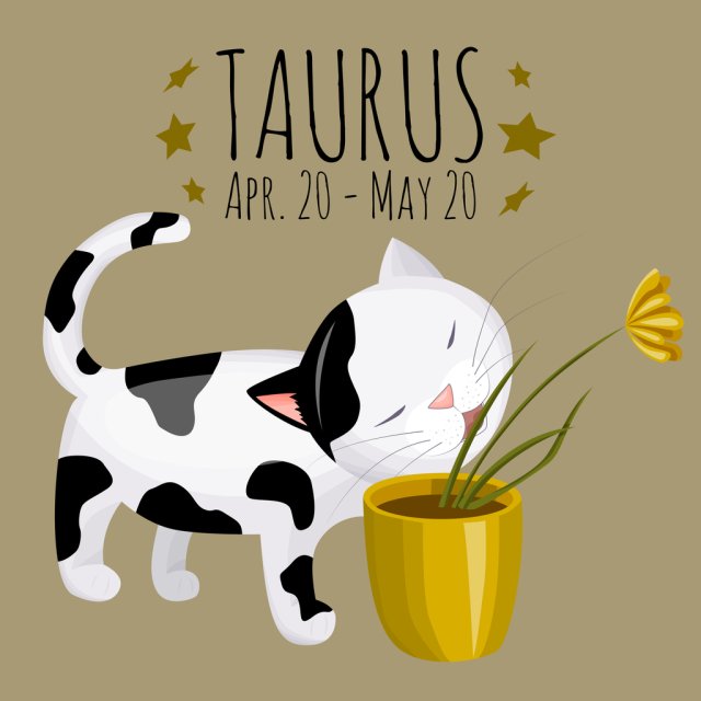 Horoscop mâine, 22 februarie 2026, Taur