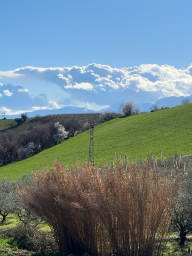 Gabriela Cristea, motivul real pentru care s-a hotărât să-și cumpere casă în Italia. "Astăzi vă spun concret care sunt sursele". Acolo peisajele sunt verzi încă din februarie