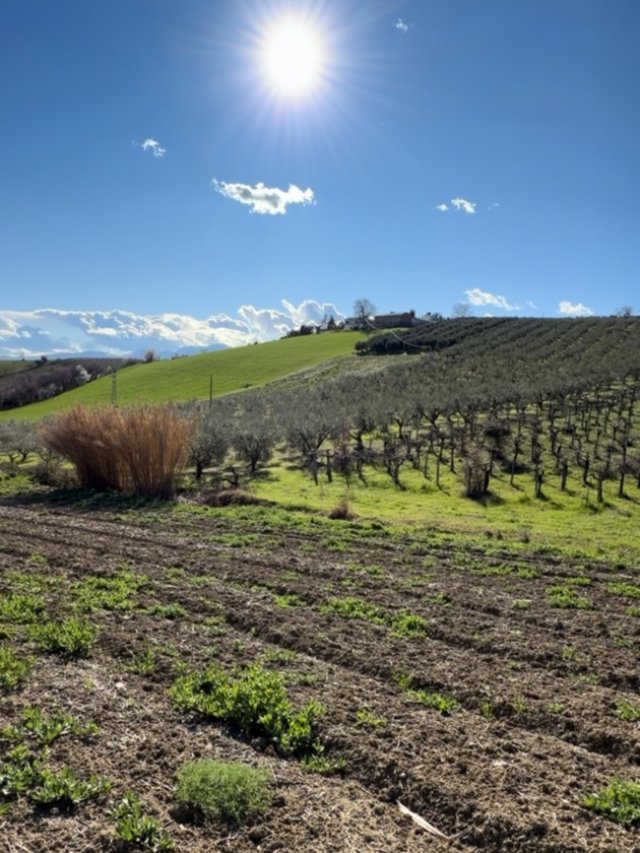 Gabriela Cristea, motivul real pentru care s-a hotărât să-și cumpere casă în Italia. "Astăzi vă spun concret care sunt sursele". Are o priveliște superbă de pe terasa casei de vacanță