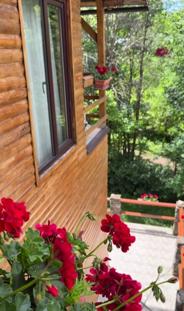 Andreea Marin, imagini în costum de baie la 51 de ani la Telega. Cum arată acum casa de vacanță a vedetei, în care mergea des în weekend-uri cu fiica ei