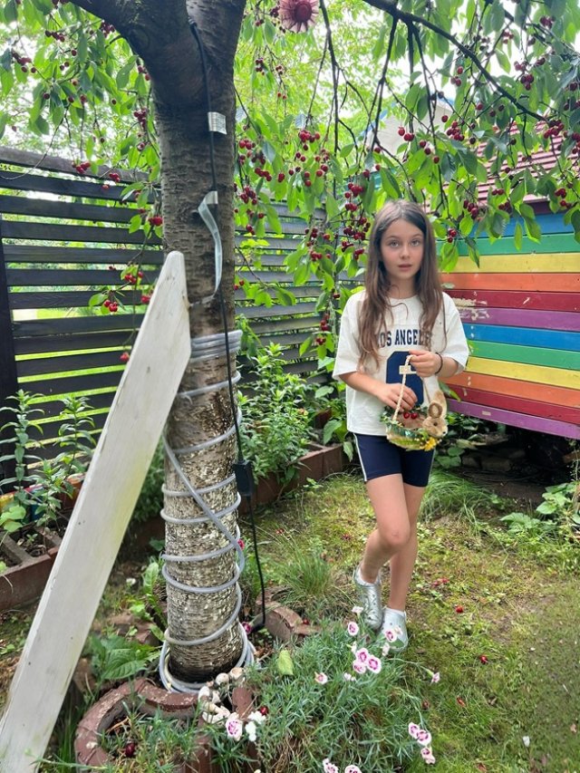 Fiica Elenei Udrea face primii bani cinstiți la numai 7 ani: „Prima afacere a Evei”. Fetițele au cules cireșe din curte