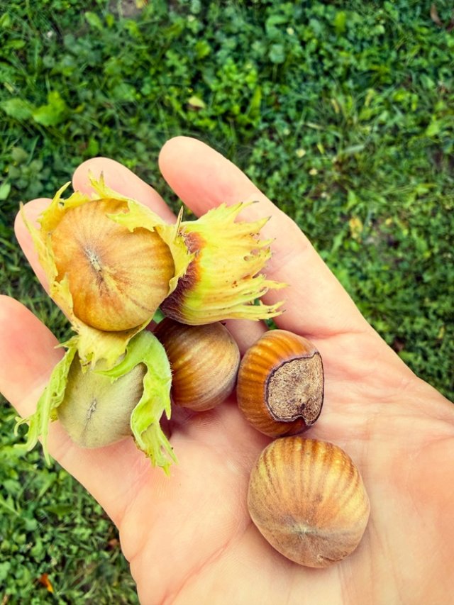 Dana Nălbaru a ajuns din nou ținta comentariilor pe internet, de această dată fiind lăudată pentru naturalețea ei. „O femeie naturală care emană frumusețe”. Ea și soțul ei s-au mutat într-un sat din Argeș