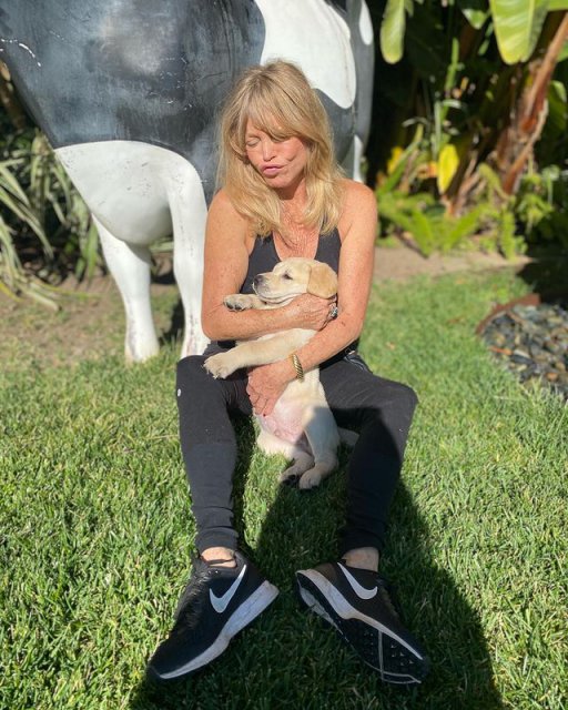 Goldie Hawn