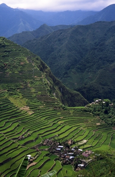 Terasele de orez Banaue