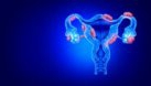 Fibromul uterin în sarcină: simptome și complicații