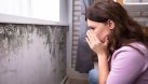 Ciuperca de apartament care te poate ucide. Cum îți dai seama că este și în casa ta 
