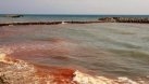 Fenomen rar pe litoralul românesc: Marea Neagră a devenit roșie. Noaptea, valurile sunt fosforescente. Ce spun biologii - VIDEO