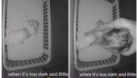 Tată obosit și momentul viral: Ce a surprins camera video într-o noapte liniștită