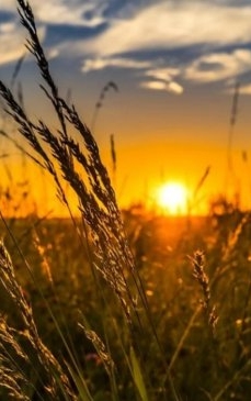 Azi este echinocțiul de toamnă. Începe TOAMNA astronomică, ziua devine mai mică decât ziua
