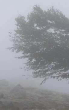 Alertă meteo: 8 județe, afectate de Codul galben până duminică dimineață - ANM, anunț despre zonele vizate de CEAȚĂ și vânt puternic