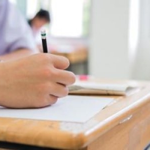 Subiecte la română, simulare Evaluare Națională 2025. Poezia "Trezire", de Lucian Blaga, le-a pus probleme elevilor de clasa a 8-a