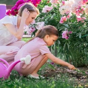De ce nu înfloresc bujorii și cum poți să-i ajuți. Sfaturi simple și utile de la specialiști