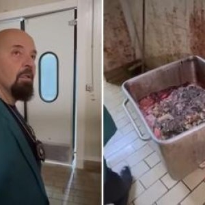 Piedone a pus sigiliu pe abatorul din Popești Leordeni: „Ce fierb aici? Morți? Aici e crematoriu!” Imagini de groază | VIDEO