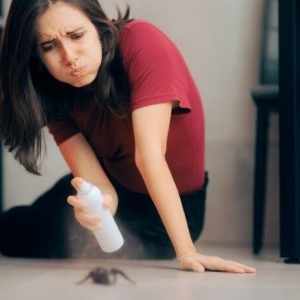 Locuri surprinzătoare din casa ta care pot atrage insectele. Ce poți face pentru a-ți proteja locuința de dăunători