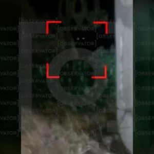 Jandarmii din Teleorman, pe urmele panterei fugite din Bulgaria. Doi localnici ar fi văzut-o în spatele casei