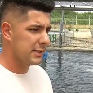 Afacerea care ia amploare lângă Bucureşti. Un kilogram ajunge la 40 de lei