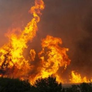 Incendii devastatoare în Bulgaria, provocate de doi piromani. Vor fi judecaţi pentru terorism