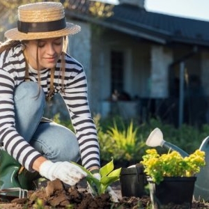 5 plante perene pe care nu e recomandat să le cultivi în ghivece, potrivit experților în grădinărit