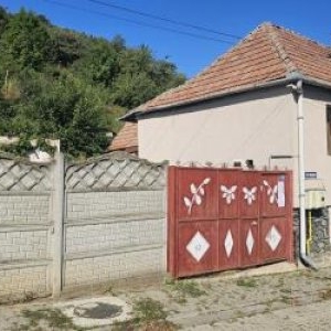 ANAF scoate la vânzare o casă cu două etaje şi un teren de 250mp, în Sibiu. Preţul cerut